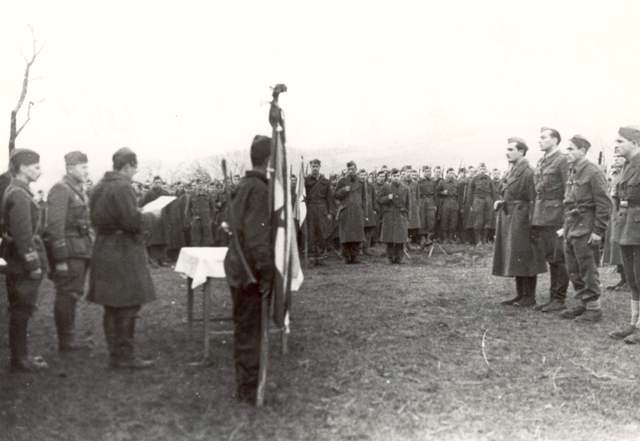 012 VI- 28c1 Brig.Fratelli Fontanot .jpg