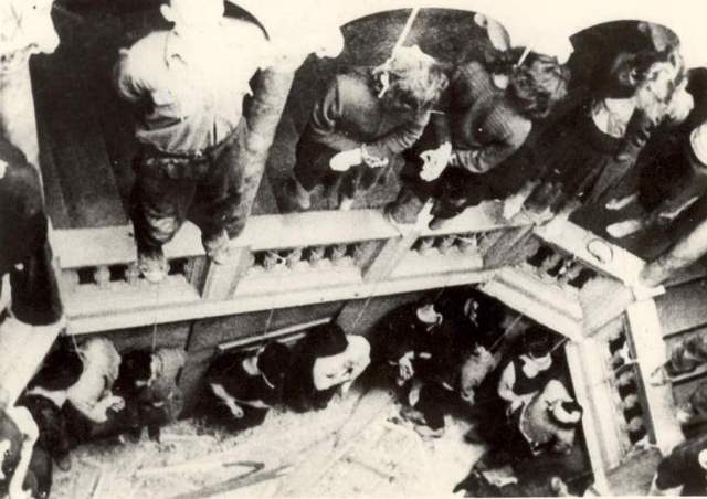 014 Impiccagione nazista ostaggi  Tartini, v. Ghega, Trieste 23 aprile 1944.jpg